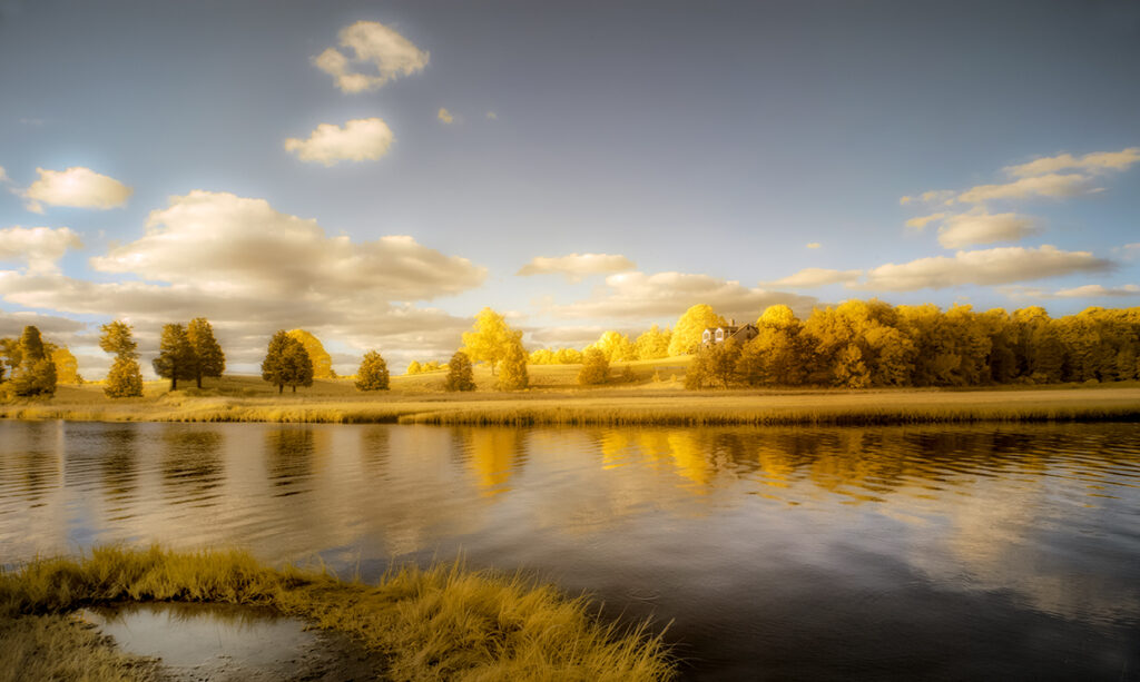 Cape Cod Salt Marsh